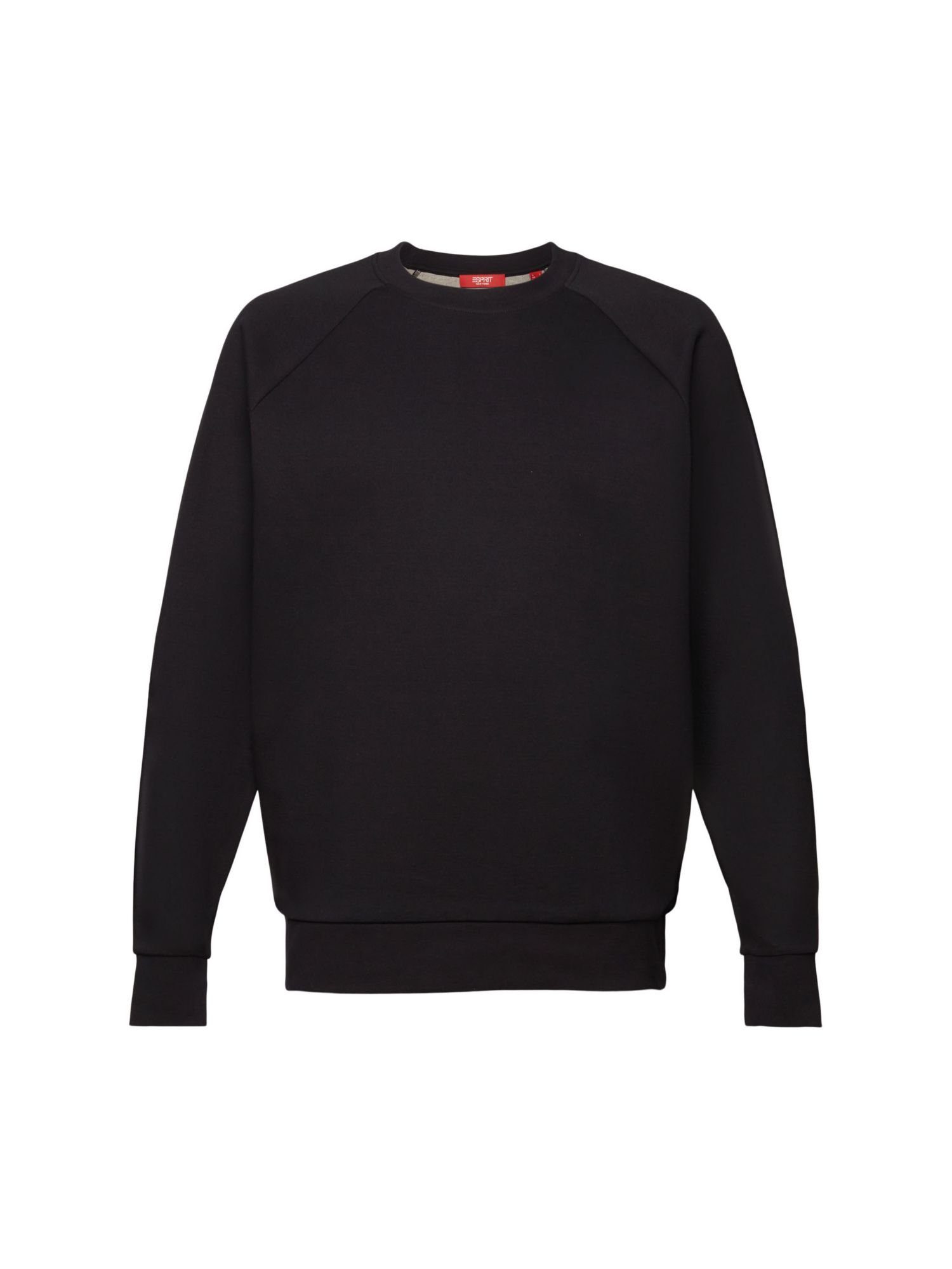 Esprit Collection Sweatshirt Klassisches Sweatshirt, Baumwollmix (1-tlg)