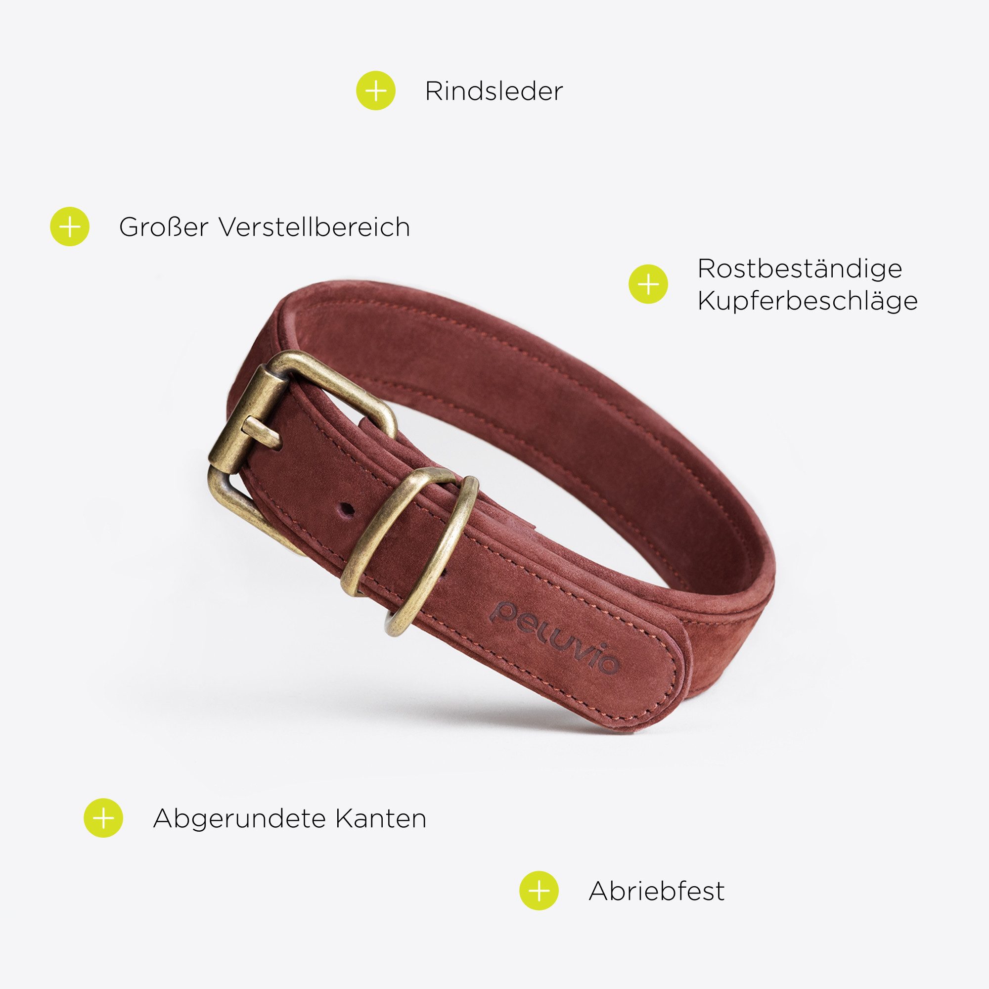 lionelo Tier-Halsband REXOR für Hunde und Katzen, Rindsleder/Kupferbeschläge/verstellbar/hautfreundlich