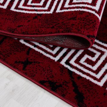 Teppich Teppich für den Flur oder Küche Mäander-Design, Stilvoll Günstig, Läufer, Höhe: 6 mm