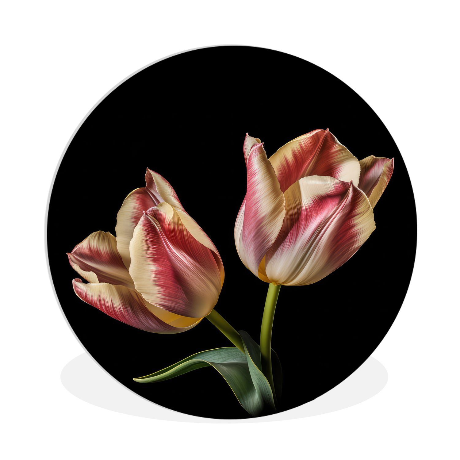 MuchoWow Gemälde Tulpen - Blumen - Rosa - Weiß - Natur, (1 St), Kreis Wanddekoration Forex, Rundes Wandbild, Wohnzimmer, 30x30 cm