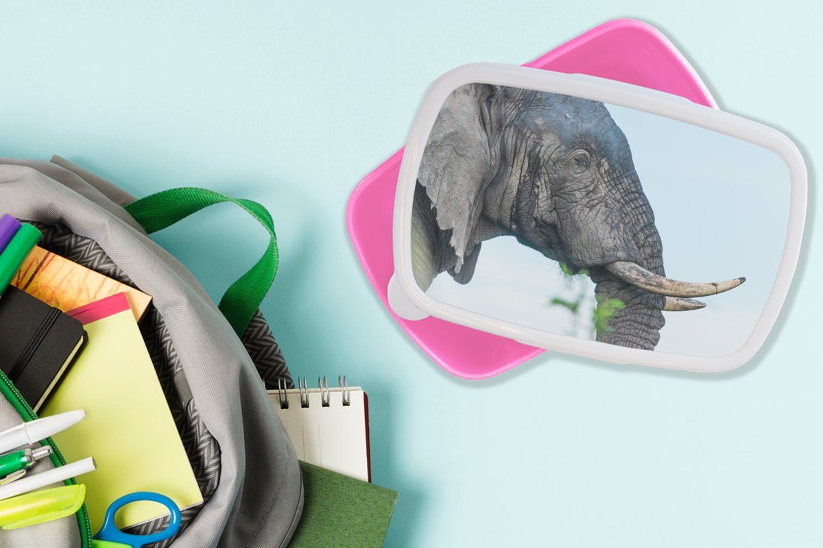 Grau Mädchen, Brotdose Snackbox, Natur, Brotbox für Kunststoff, Kinder, Erwachsene, (2-tlg), - Lunchbox MuchoWow - Kunststoff Tiere Elefant rosa -