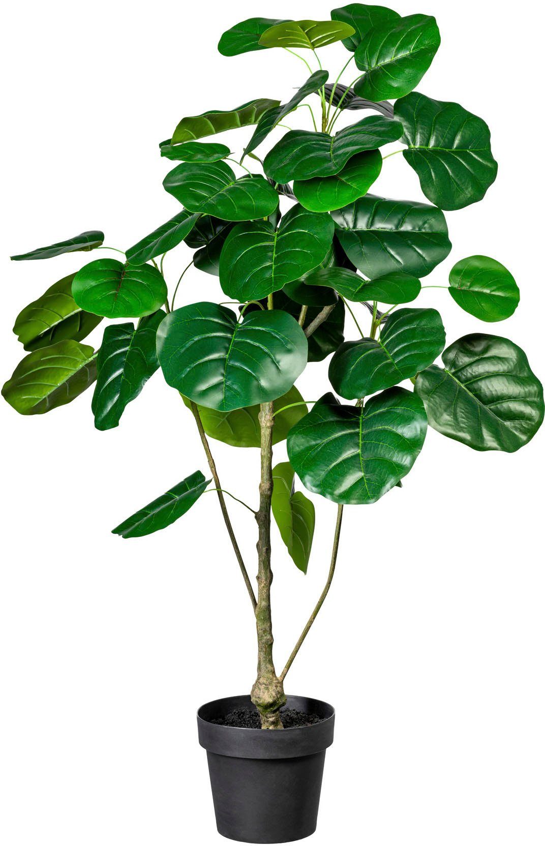 Ficus Creativ green, 120 Zimmerpflanze Ficus, Künstliche Höhe cm