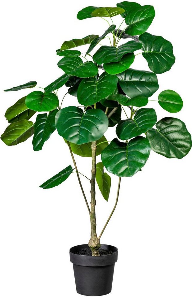 Künstliche Zimmerpflanze Ficus Ficus, Creativ green, Höhe 120 cm