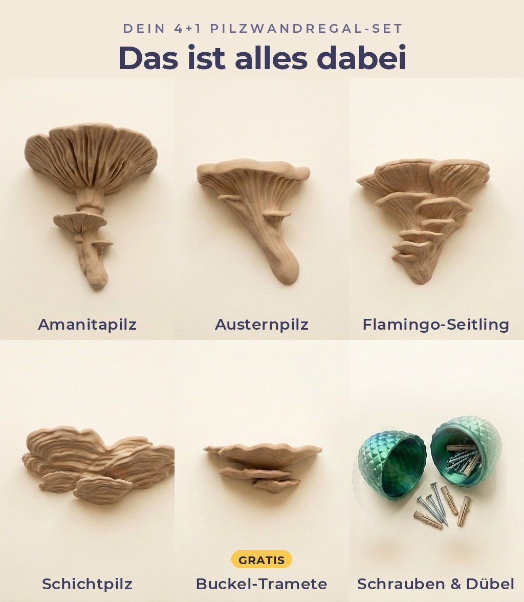 Roomberry Deko-Wandregal Pilz Wandregal Set 5-teilig, Pilzregal Deko Naturdesign, Schweberegal, Geschenk-Set, Made in Germany