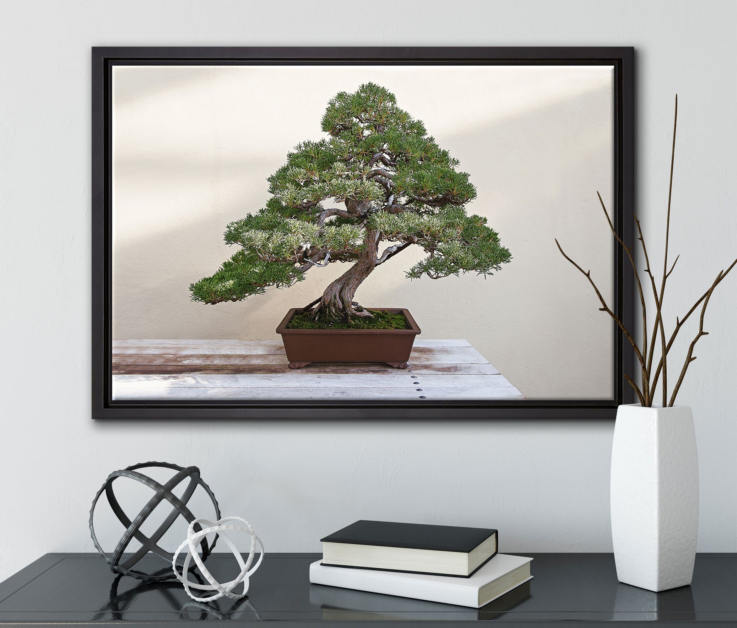 Pixxprint Leinwandbild Bonsai Baum, Wanddekoration Leinwandbild Zackenaufhänger St), in (1 fertig bespannt, einem Schattenfugen-Bilderrahmen gefasst, inkl