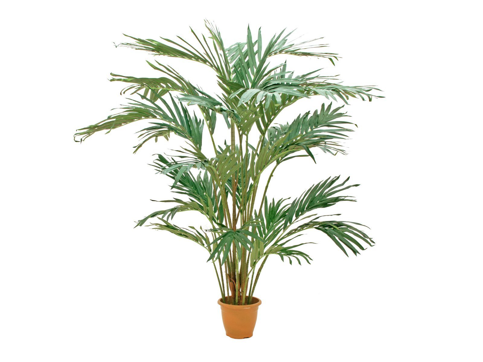 Kunstbaum Kanarische Dattelpalme, 240cm