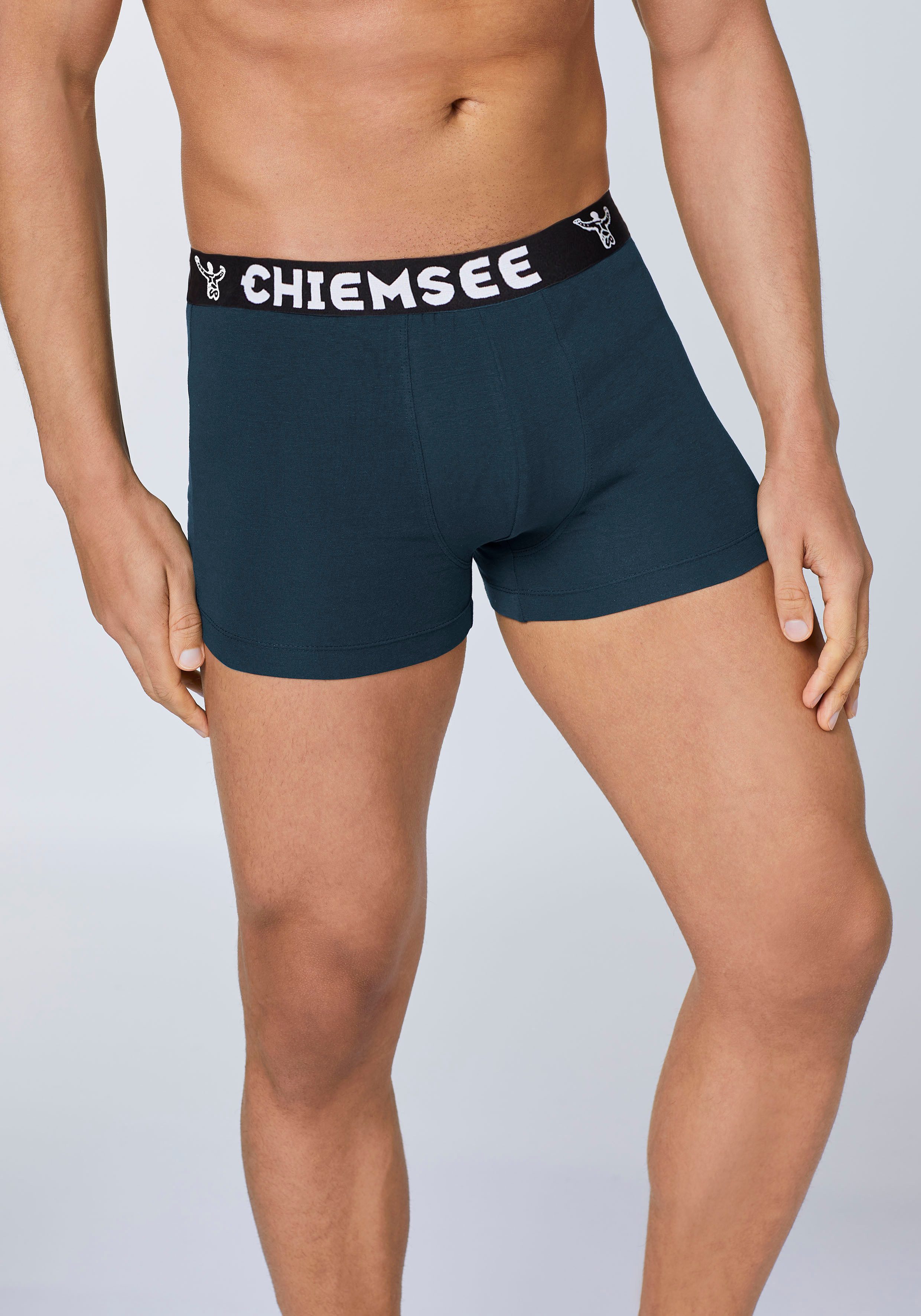 Chiemsee Retro Boxer im vorteilhaften 12er Pack – Bild 5 von 5