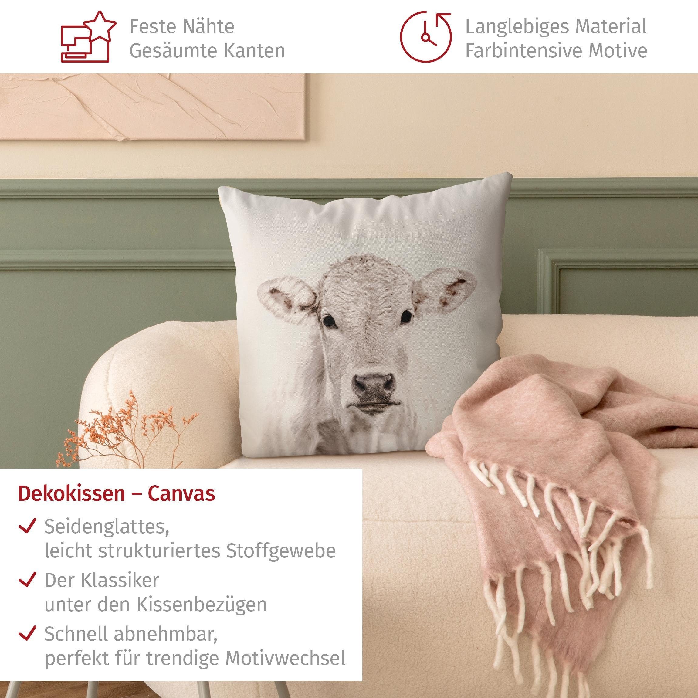 Bilderdepot24 Dekokissen drinnen Kissenhülle/ Sofakissen/ Zierkissen Kissenhülle grau Tiere Mot, Bezug mit / ohne Füllung Zierkissen Outdoor Sofa Bett