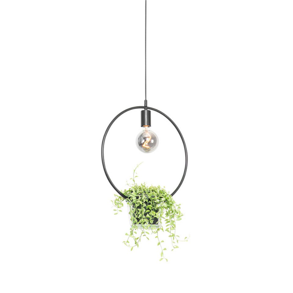 Qazqa Pendelleuchte Roslini, ohne Leuchtmittel, E27, Schwarz, Modern, Stahl, 1-flammig