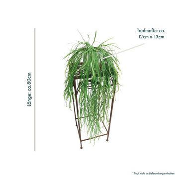Kunstpflanze Rankpflanze Weidenhänger Weide künstlich hängend im Topf 673, PassionMade, Höhe 80 cm, Dekopflanze Hängepflanze