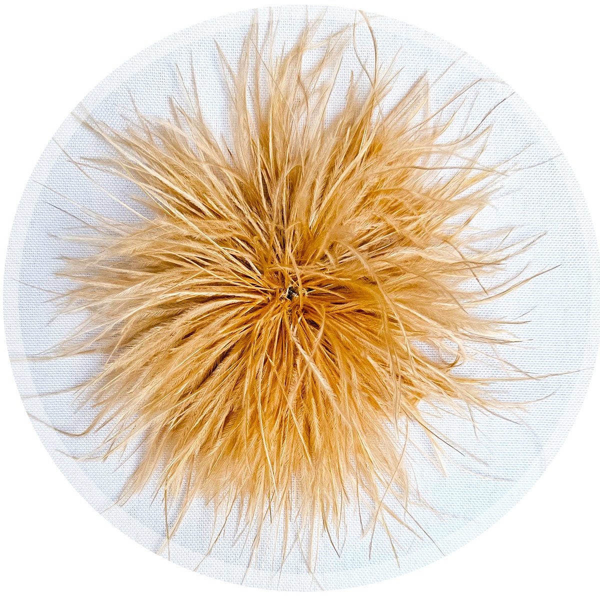 Brosche Federbrosche Beige Clip Antecker Federn Klammer Haarklammer Strauße günstig online kaufen