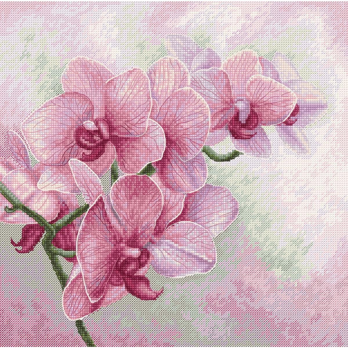 Luca-S Kreativset Luca-S Kreuzstich Set "Graziöse Orchideen", Zählmuster, 25x25cm, (embroidery kit by Marussia)