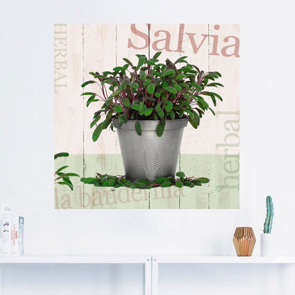 Artland Wandbild Salbei, Pflanzen (1 St), als Alubild, Leinwandbild,  Wandaufkleber oder Poster in versch. Größen