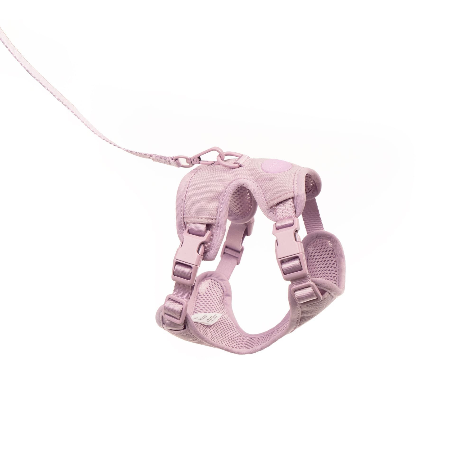 LucyBalu Katzen-Halsband EXPLORER Katzengeschirr mit Leine