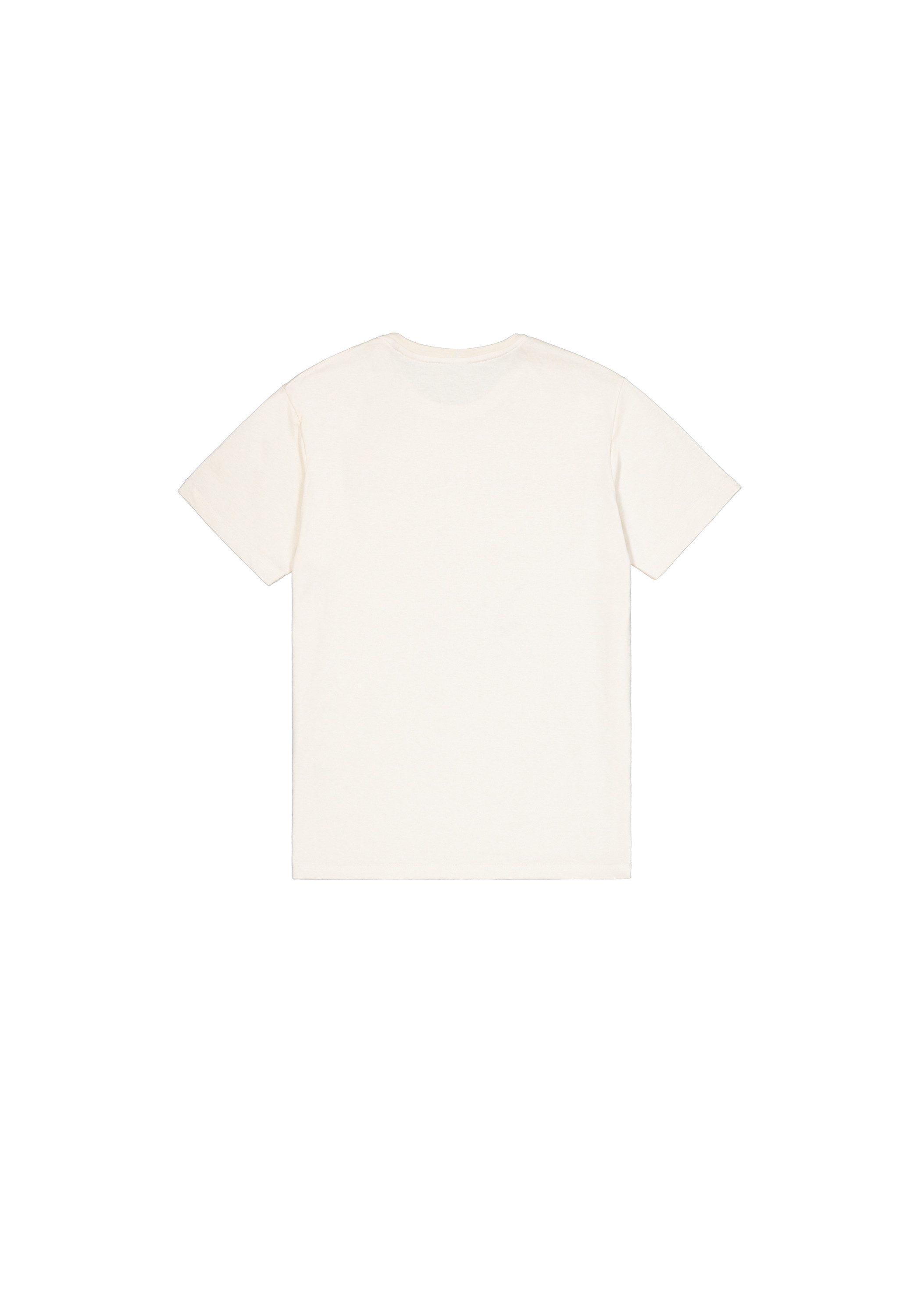 Alpha Industries T-Shirt Camo Sleeve T-Shirt günstig online kaufen