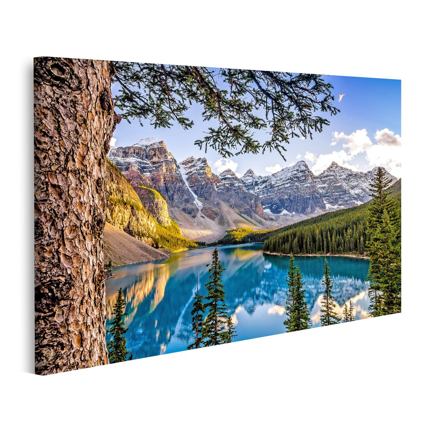 islandburner Leinwandbild Bild auf Und Baum Leinwand See Mit Landschaft Blick Gebirge Morain Auf