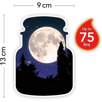 Yankee Candle Duftkerze Midsummer’s Night 411 g (Duftkerze, 1-tlg., im Glas mit Deckel), männlicher Duft Moschus Patschuli Salbei, Brenndauer 75 Stunden