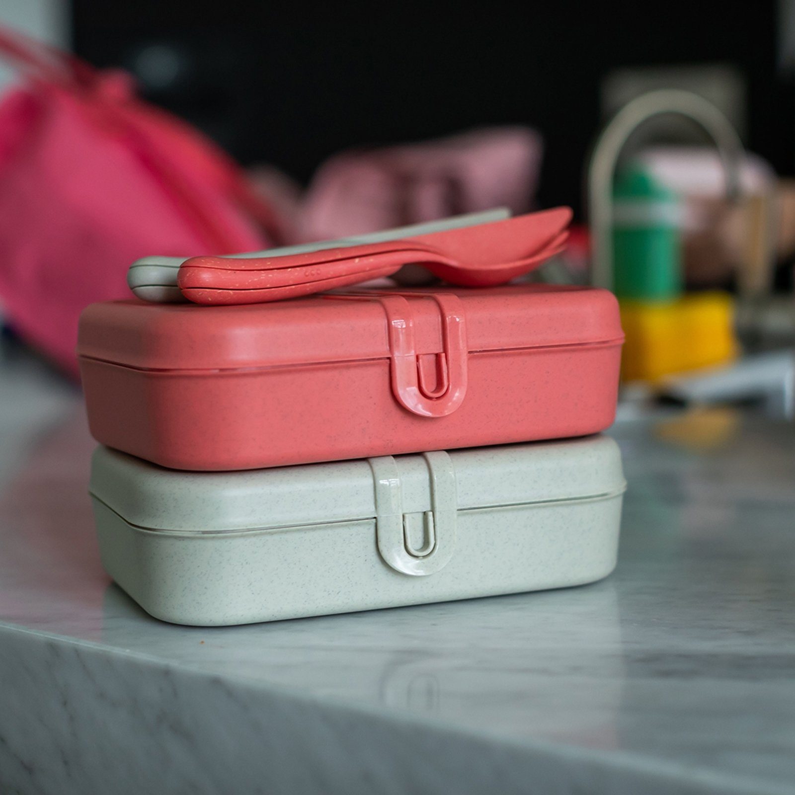 mit PASCAL L, Koralle (Stück, Kunststoff Kunststoff, 1-tlg), Lunchbox KOZIOL Trennsteg Lunchbox Brotdose