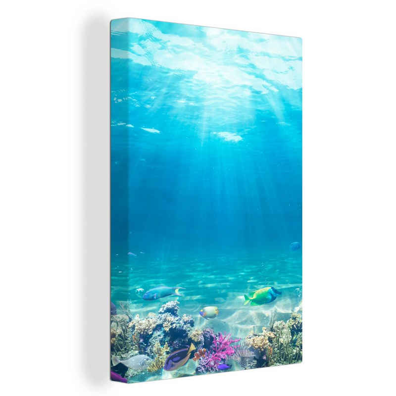 OneMillionCanvasses® Leinwandbild Unterwasserwelt - Meerestiere - Wasser - Korallen - Blau, (1 St), Leinwandbild fertig bespannt inkl. Zackenaufhänger, Gemälde, 20x30 cm