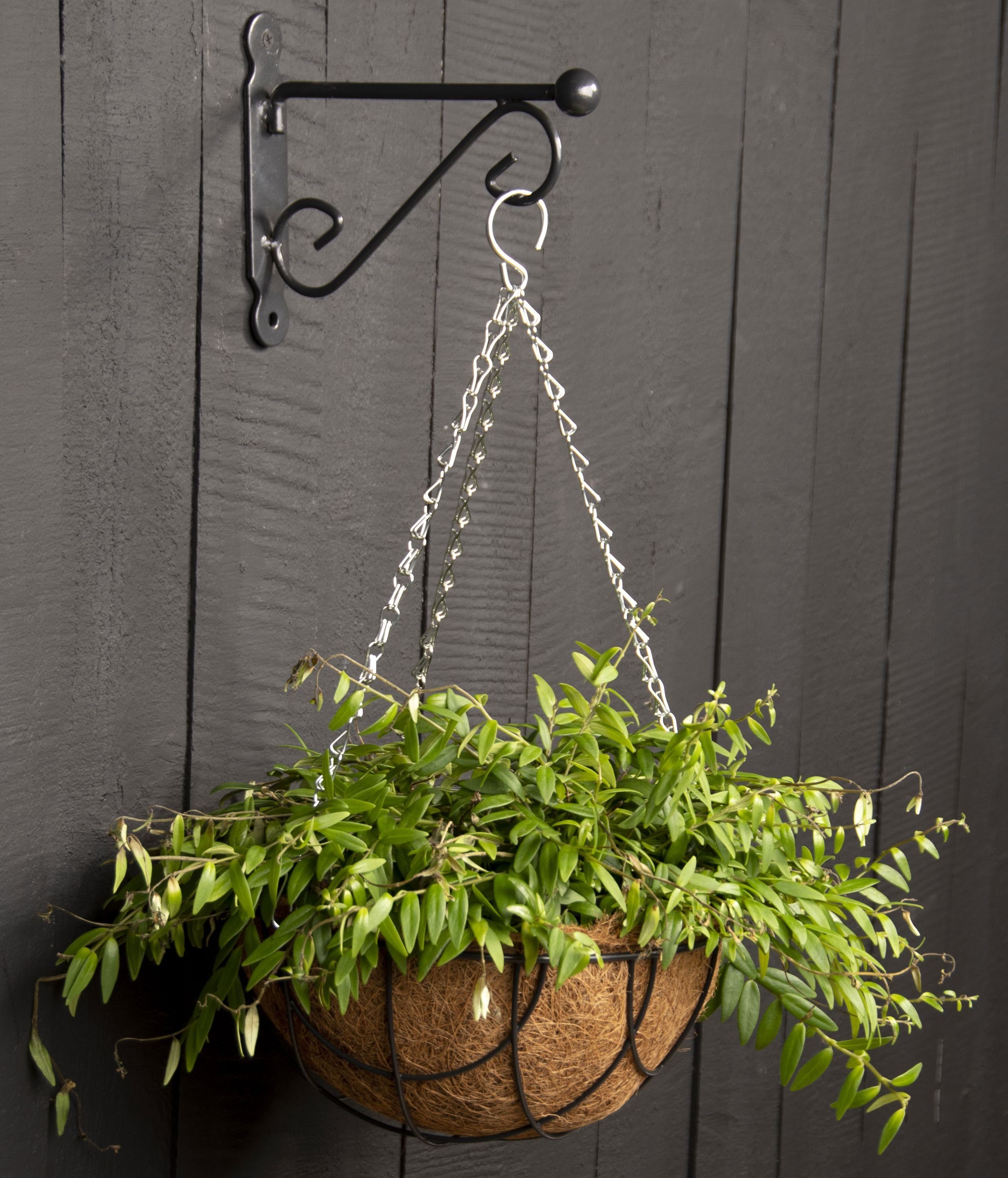 esschert design Übertopf Ersatzkette 37cm Blumenampel günstig online kaufen