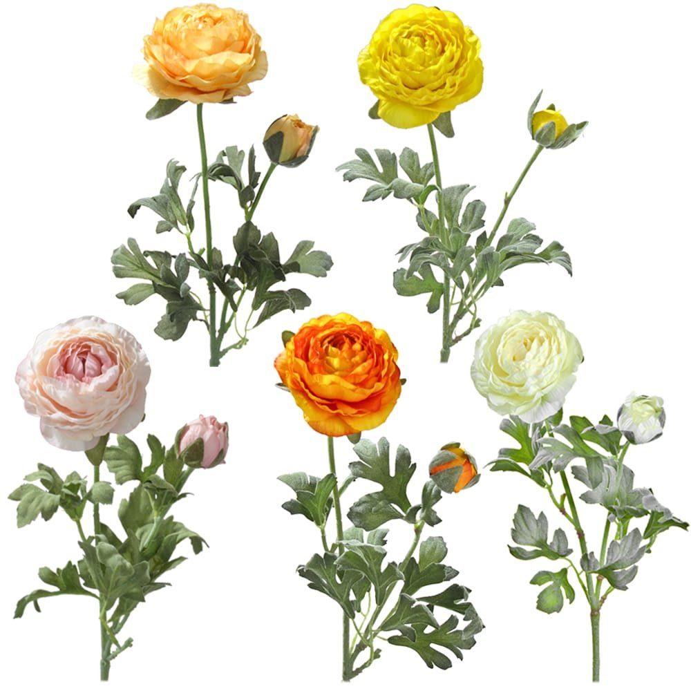 Blüten Höhe 1 cremefarben matches21 40 cremeweiß Knospen & Kunstblume Ranunkeln, cm cm, ca HOBBY, Ranunkeln Indoor 40 & HOME Stk