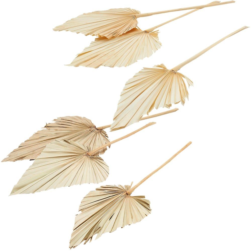 Kunstblume Palmspeere Naturdeko natur 1 Bund günstig online kaufen