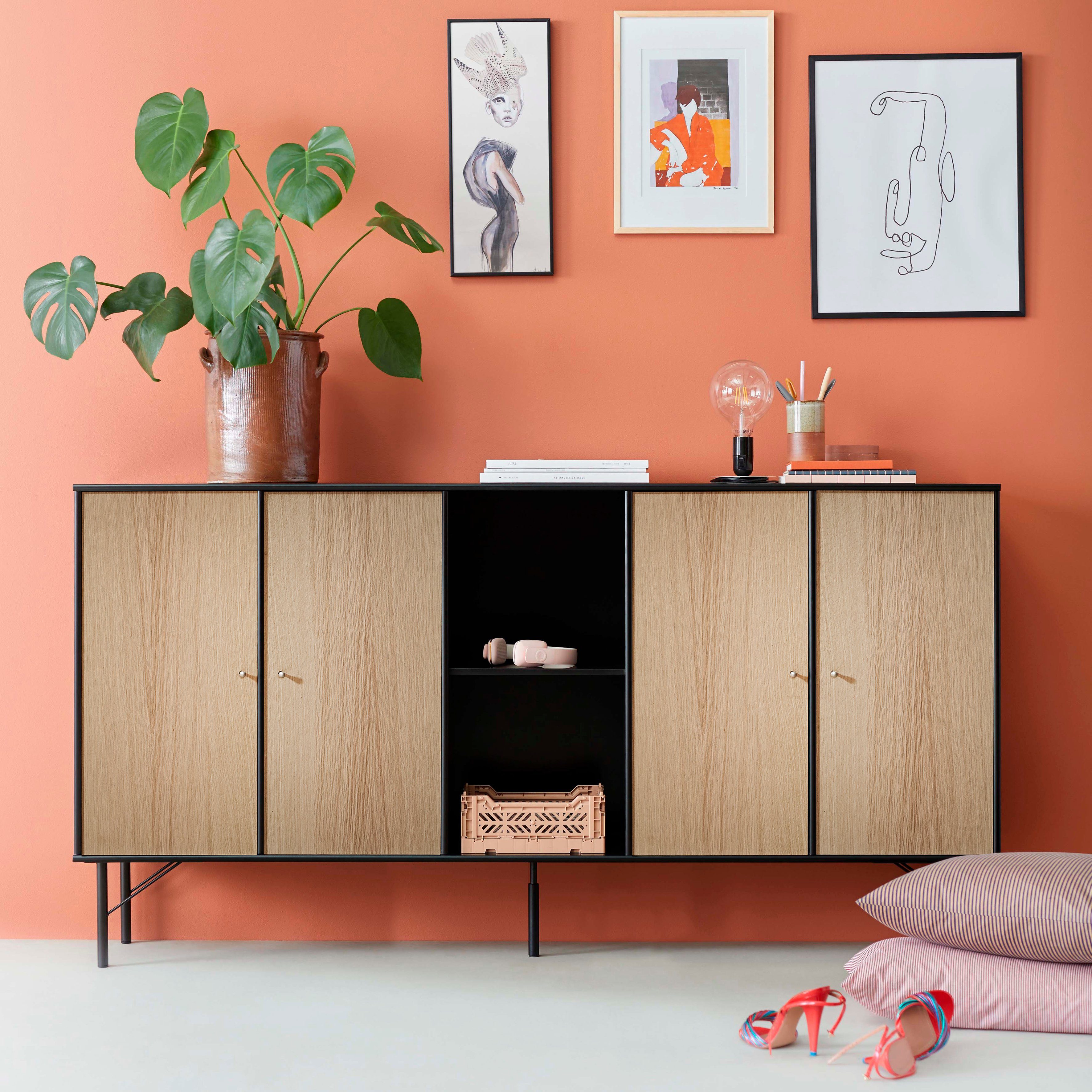 Hammel Furniture Türfront Mistral Kubus 063, Tür passend zur Sideboard & Bücherregal (2 St), (2 St), als Ergänzung für Korpus 025, 026, 116 und 117, Breite: 32 cm