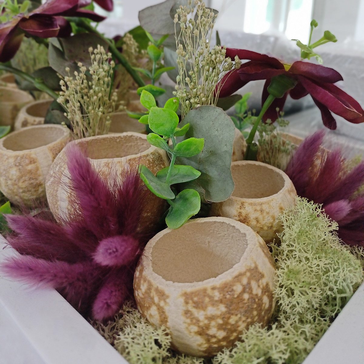 Trockenblume Samtgras Violett Hasenschwanz-Gras Lagurus Trockengras günstig online kaufen