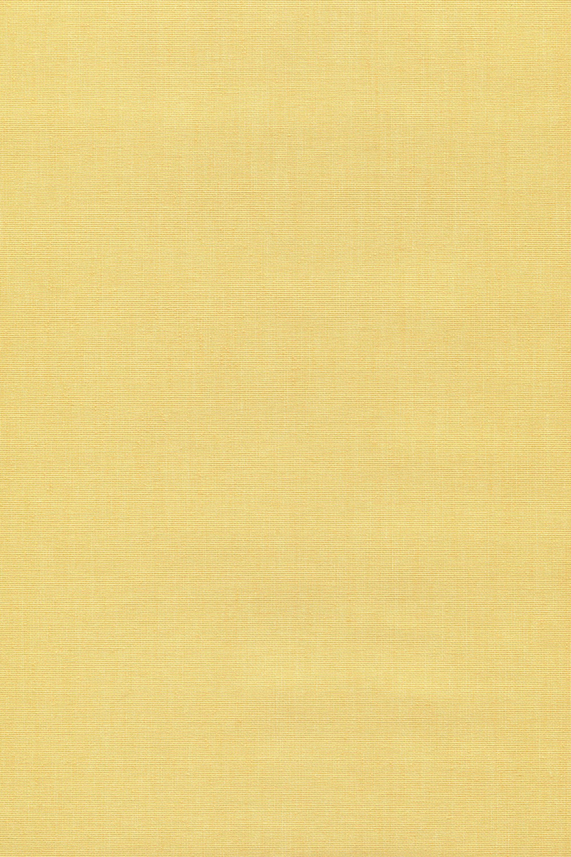 Rollo Basisrollo Tageslicht LYSEL®, Pastellgelb, 190x152.5cm HxB blickdicht