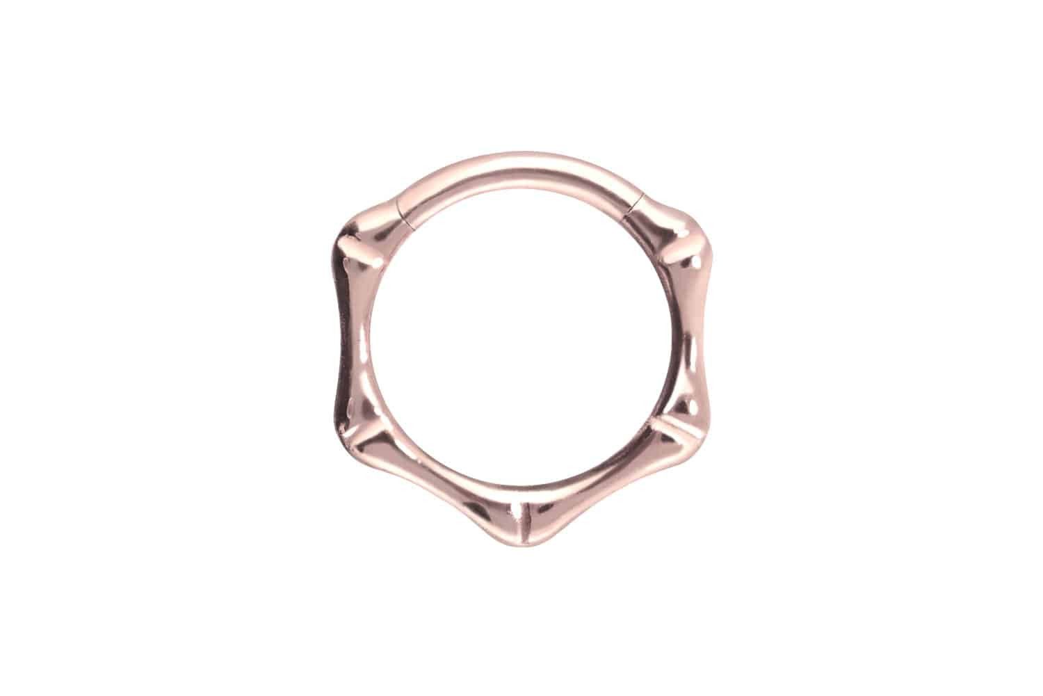 Piercing-Set Titan Segmentring Clicker KNOCHEN