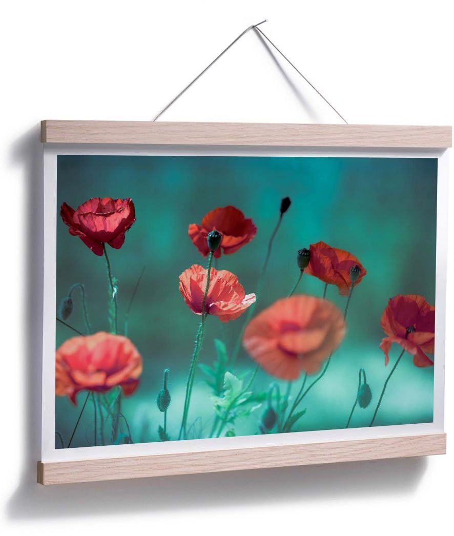 Wall-Art Poster Mohn Aquamarin, Pflanzen (1 St)