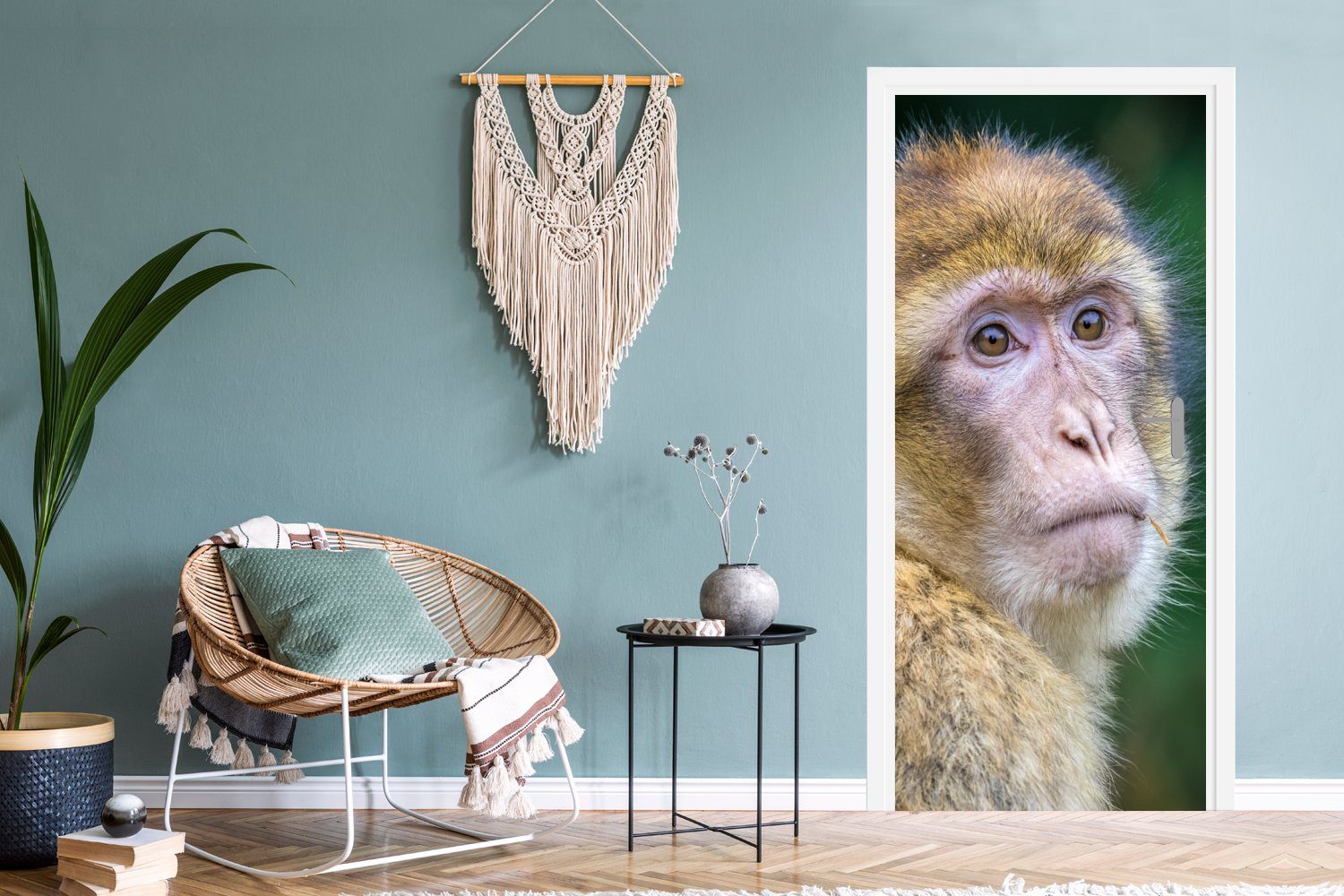 MuchoWow Türtapete Affen - Tiere Natur, Türaufkleber, Fototapete bedruckt, Tür, Porträt - cm 75x205 (1 Matt, St), - für