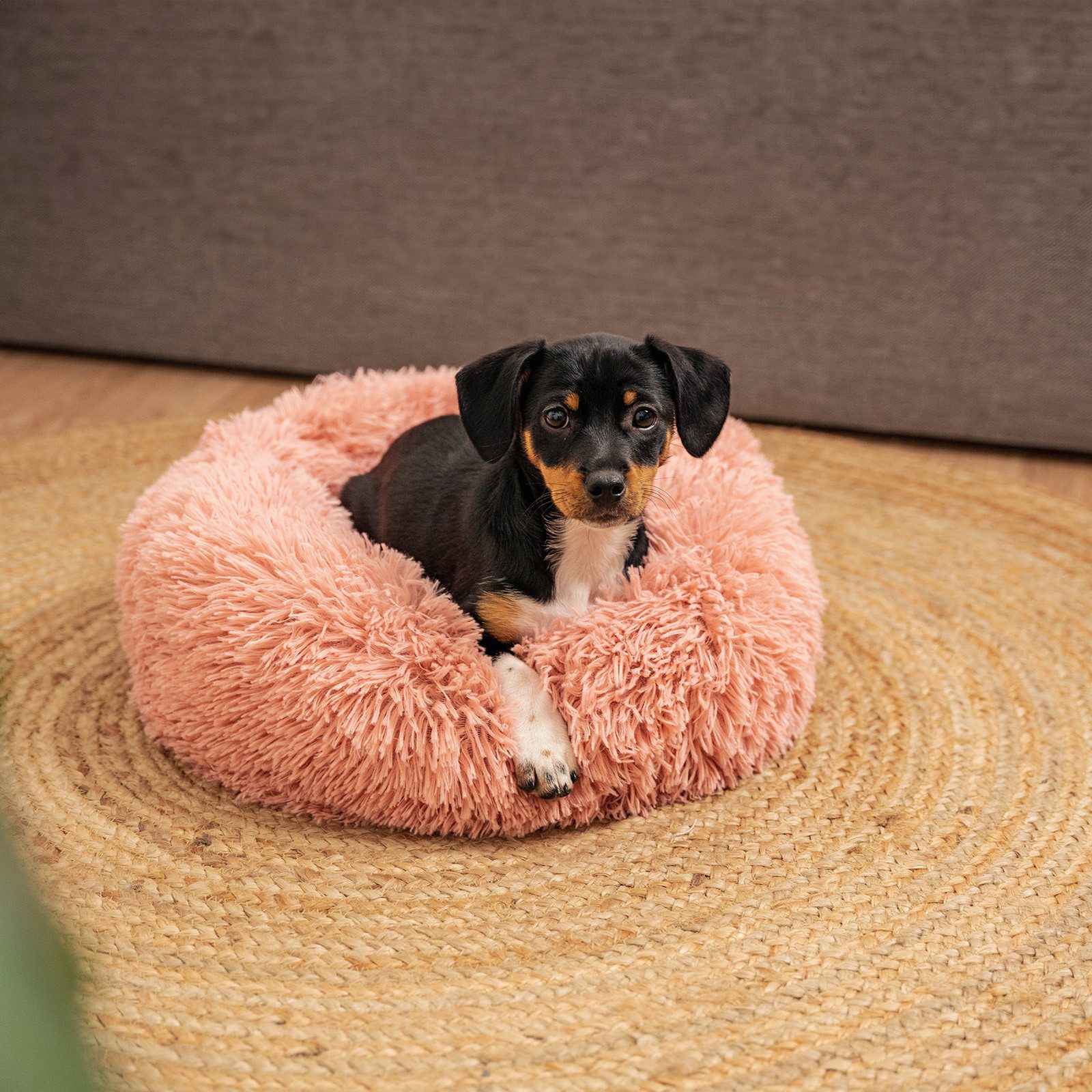 lionto Tierkissen Donut rund mit Rand, Plüschbezug, weiches & gemütliches Hundebett mit Anti-Rutsch-Noppen