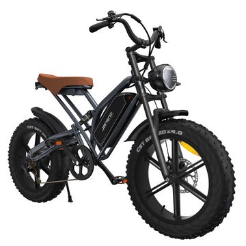 DOTMALL E-Bike JANSNO X50P 20 Zoll Elektrofahrrad, 48V 14Ah Abnehmbarer Akku