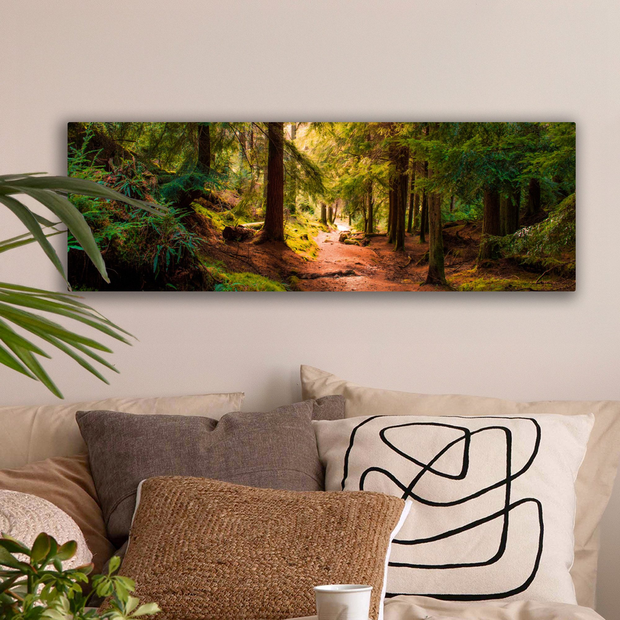 OneMillionCanvasses® Leinwandbild Panorama Wald - Weg - Bäume - Grün - Sonn günstig online kaufen