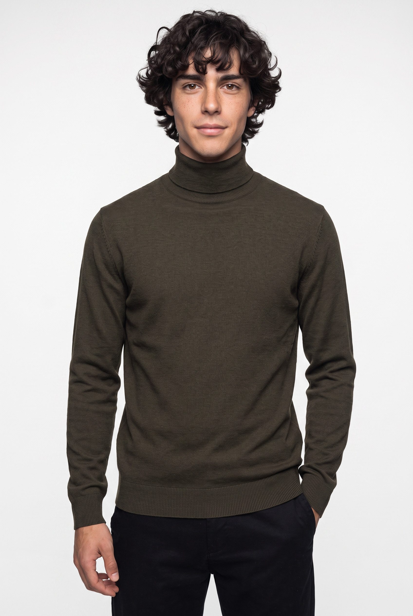 Jack & Jones Rollkragenpullover JJEEMIL KNIT ROLL NECK NOOS Baumwollmischung, regular fit