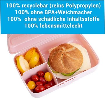 Centi Lunchbox Brotdosen Kinder, Lunchboxen mit 3 Trennfächern und Clickverschluss, Kunststoff, (Set, 3-tlg., in pastel-grün, weiß und rosa), Bento Box Kinder, Brotzeitbox ohne BPA+Weichmacher, Frühstücksbox