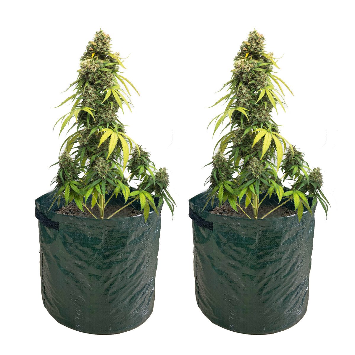 LB H&F Lilienburg Pflanzkübel 2er Set günstig online kaufen