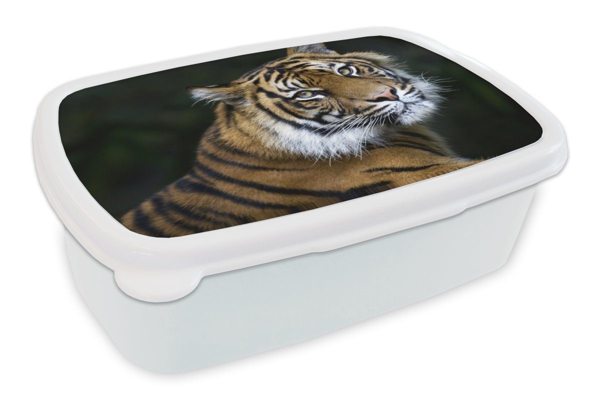 MuchoWow Lunchbox Tiger - Porträt - Schwarz, Kunststoff, (2-tlg), Brotbox für Kinder und Erwachsene, Brotdose, für Jungs und Mädchen weiß