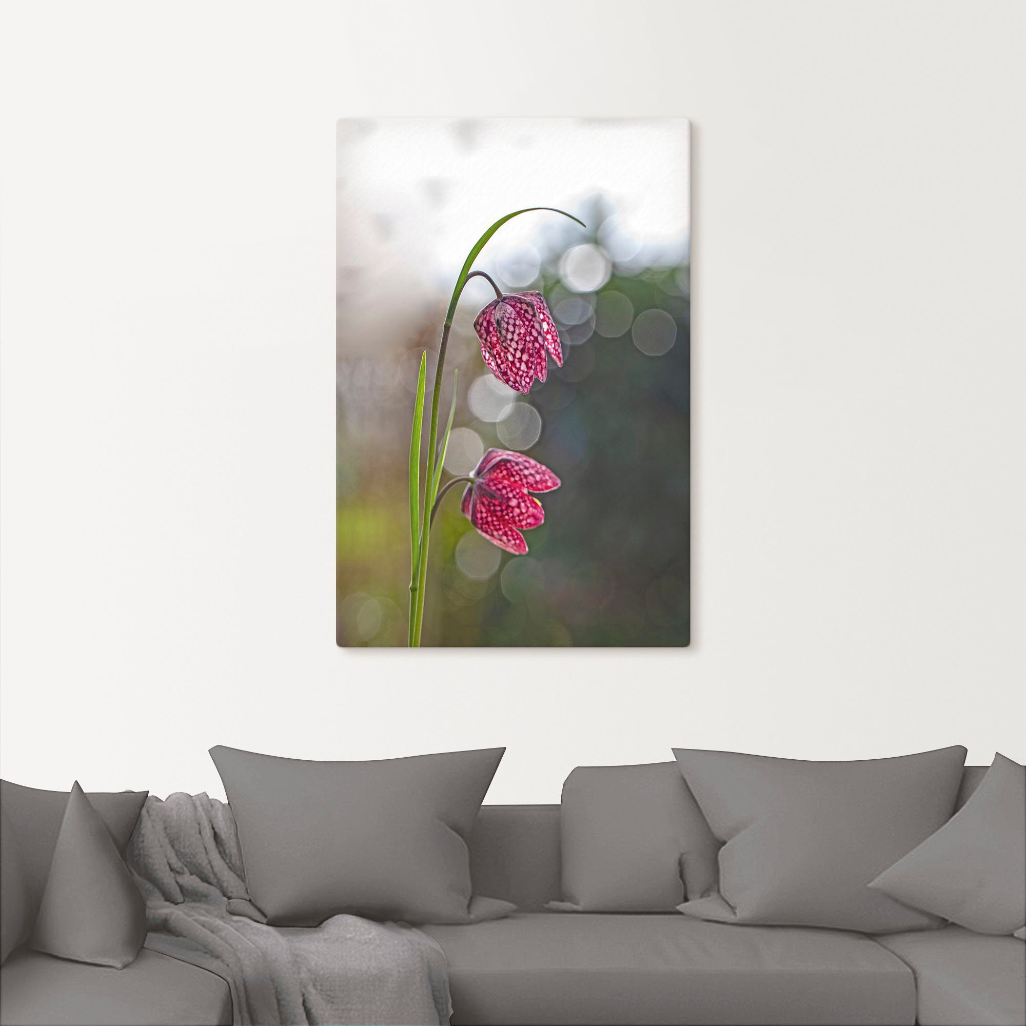 als oder Poster Artland versch. Alubild, in St), (1 Leinwandbild, Wandbild Größen Wandaufkleber Blumenbilder Schachbrettblume,