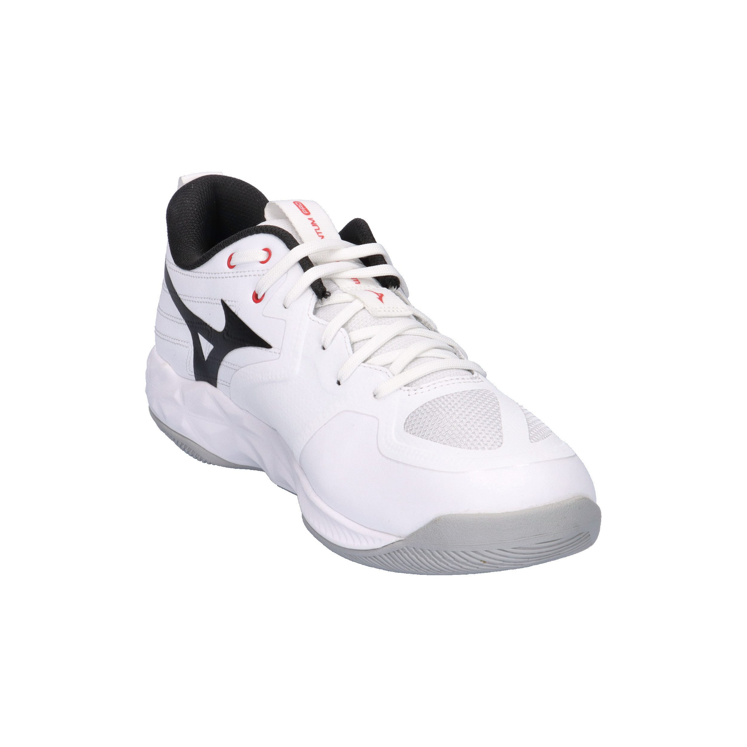 Mizuno Mizuno Unisex Hallenschuhe WAVE MOMENTUM PRO V1GA2540 Hallenschuh