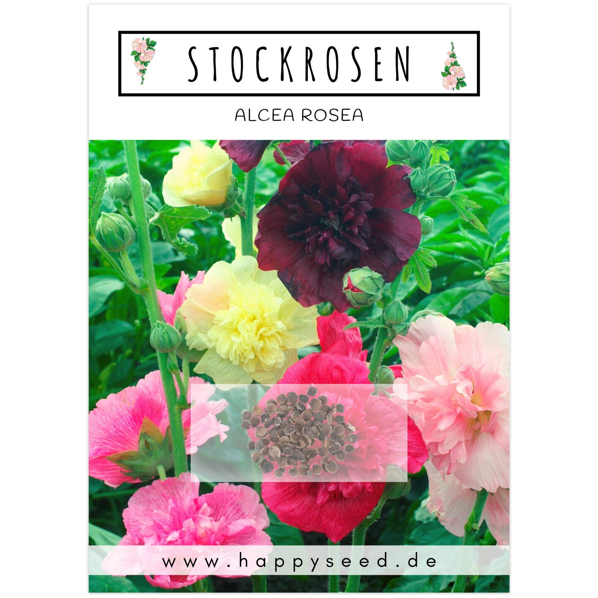HappySeed Blumensamen Stockrosen Samen - Alcea Rosea (Mix), Rosen günstig online kaufen