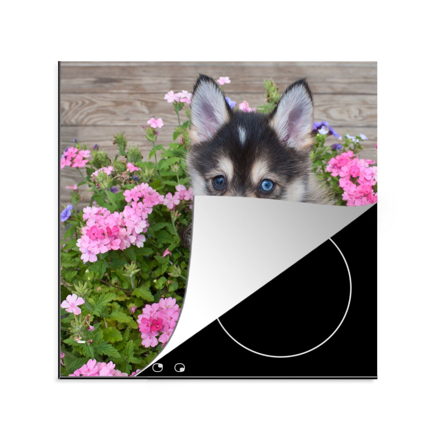 MuchoWow Herdblende-/Abdeckplatte Pomsky-Welpe zwischen Blumen, Vinyl, (1 tlg), 78x78 cm, Ceranfeldabdeckung, Arbeitsplatte für küche