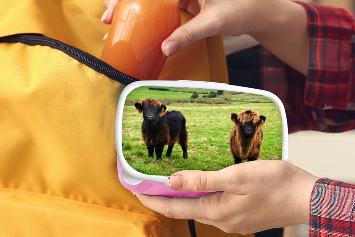 Kunststoff Brotbox - Kunststoff, (2-tlg), Brotdose Highlander Kühe, Gras Snackbox, Schottische Mädchen, Kinder, für Erwachsene, MuchoWow rosa Lunchbox -