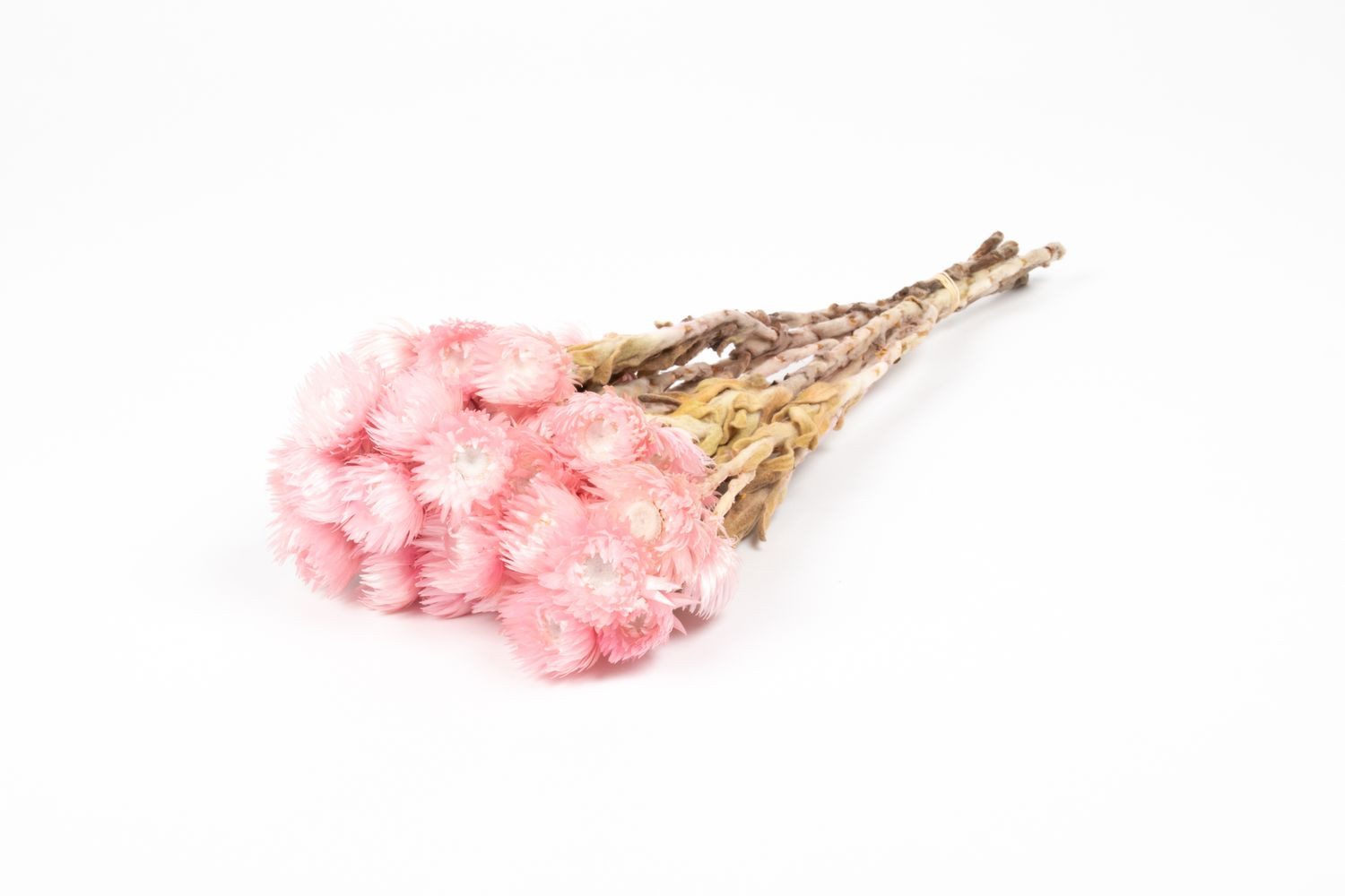 Trockenblume Sonnenblumen Trockenstrauß Bibiana, zartrosa, 30-40cm, Ø15cm, INNA-Glas, Höhe 40.0 cm