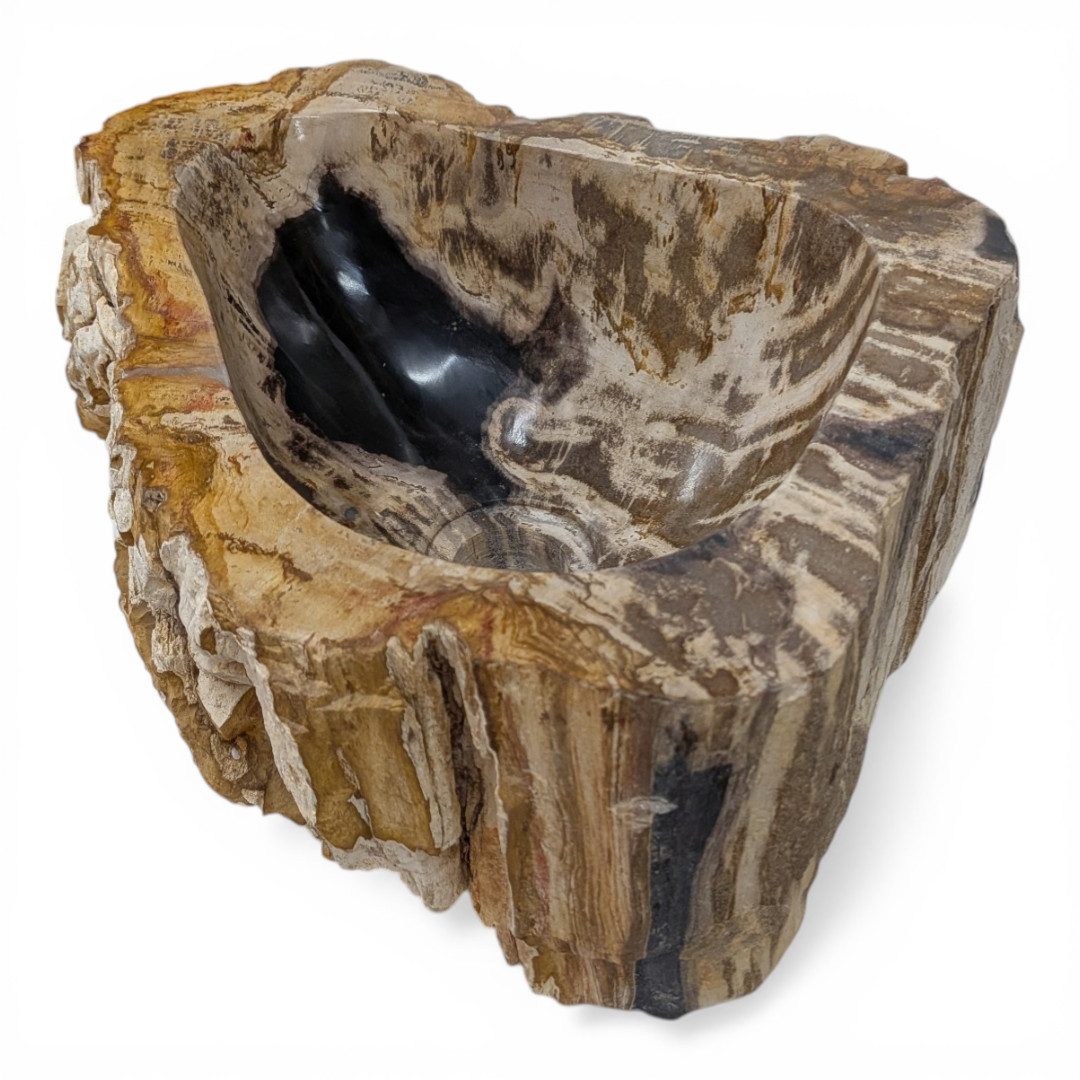 Kinaree Aufsatzwaschbecken Versteinertes Holz Waschbecken #22, poliert, Naturstein, Beige, Braun, Grau, Bruchstein Optik