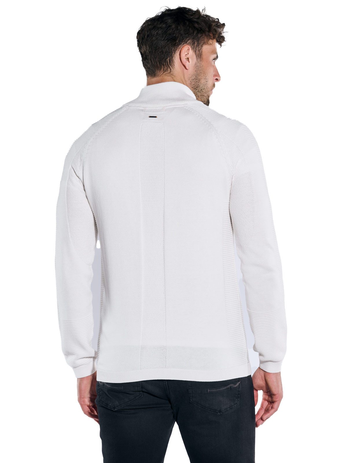 emilio adani Stehkragenpullover emilio adani Herren Pullover mit Troyerkrag günstig online kaufen