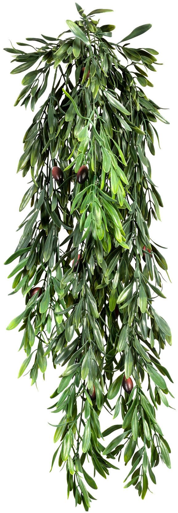 Kunstranke Hängende Olive, Creativ green, Höhe 85 cm, mit detailgetreuer Ge günstig online kaufen
