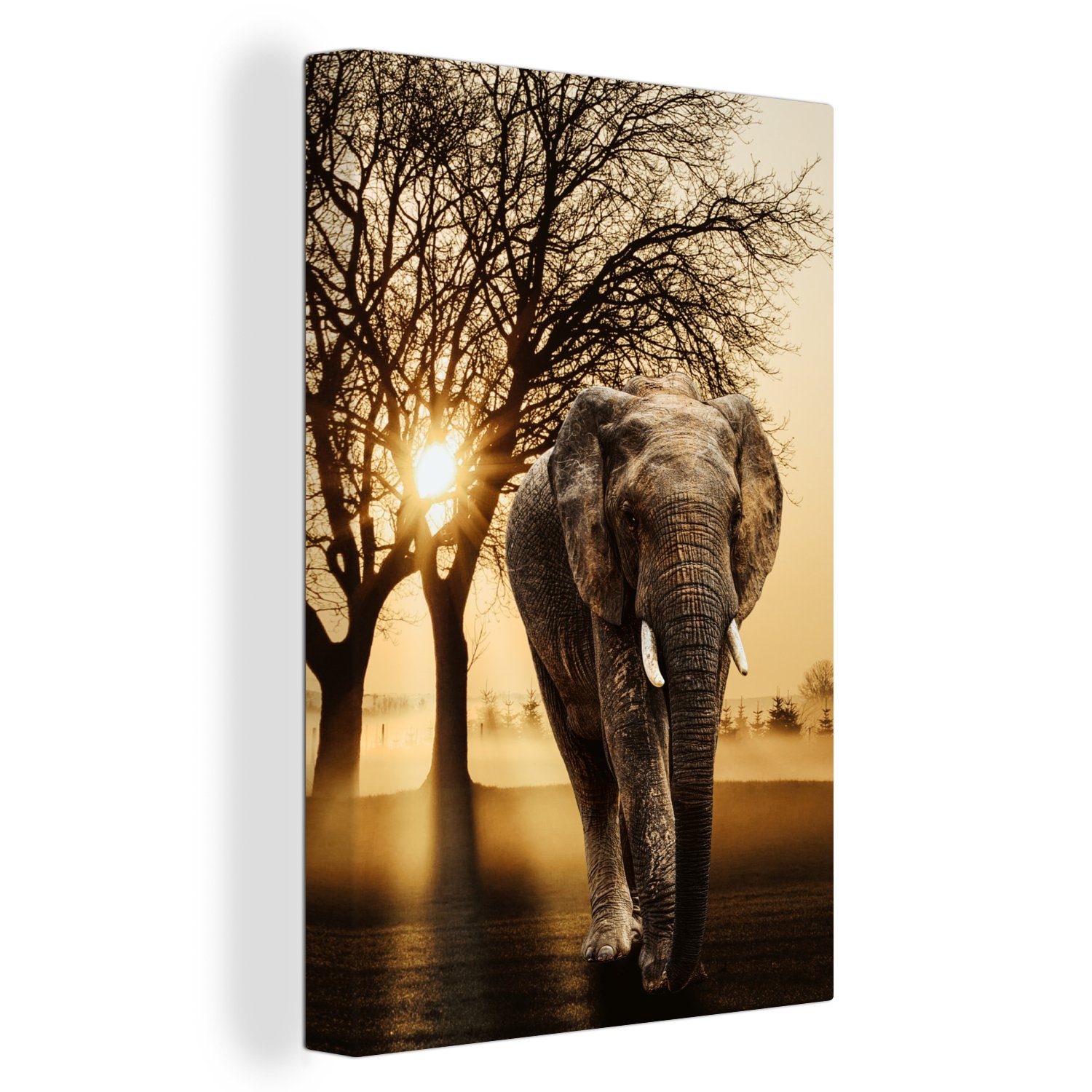 OneMillionCanvasses® Leinwandbild Elefant - Baum - Sonne, (1 St), Leinwandbild fertig bespannt inkl. Zackenaufhänger, Gemälde, 20x30 cm