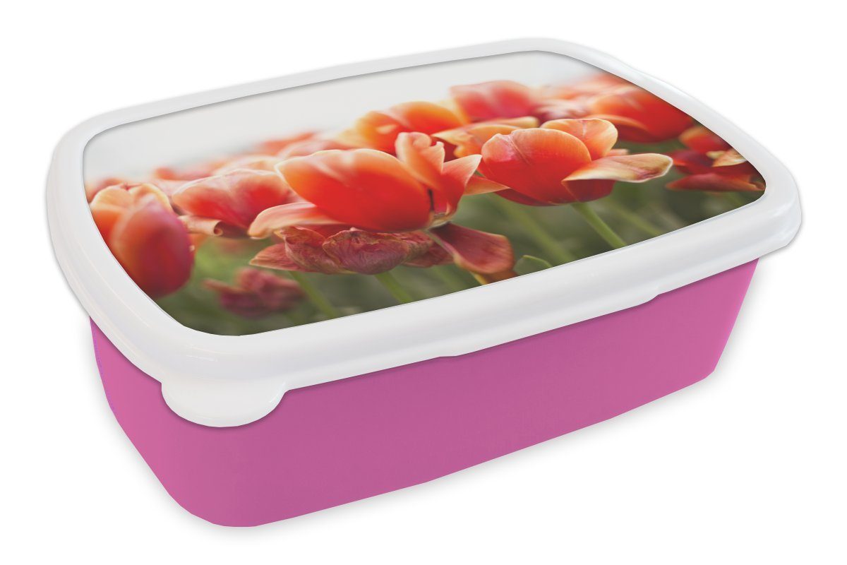 MuchoWow Lunchbox Bild der Blätter von roten Tulpen, Kunststoff, (2-tlg), Brotbox für Erwachsene, Brotdose Kinder, Snackbox, Mädchen, Kunststoff rosa